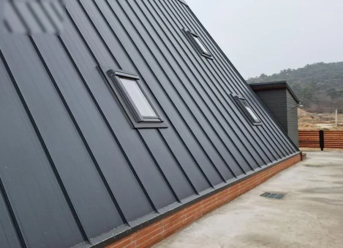 Tiny Villa A2 roof detail with skylights
